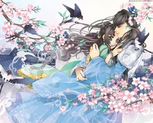 深入了解 芒果视频永久回家导航